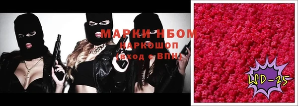 гашик Алексин
