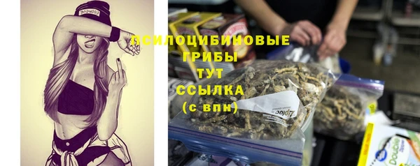сатива Абинск
