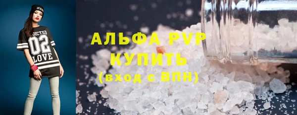 сатива Абинск