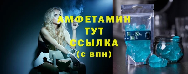 PSILOCYBIN Алзамай