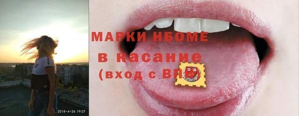 гашик Алексин