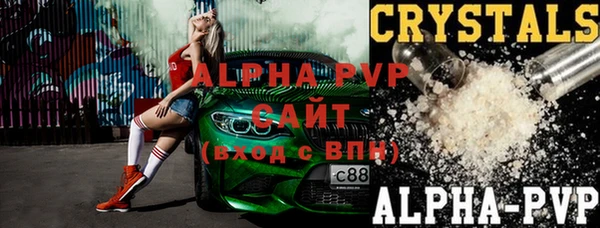 гашик Алексин