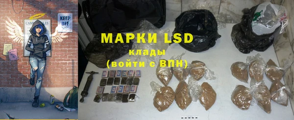 сатива Абинск