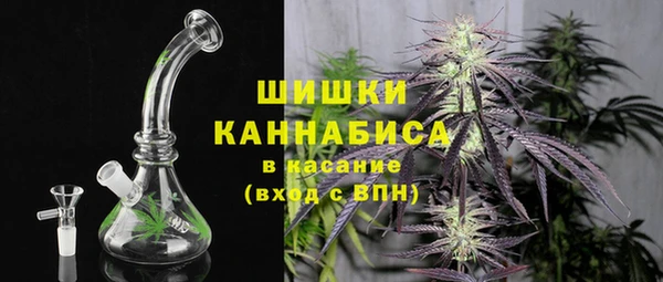 сатива Абинск