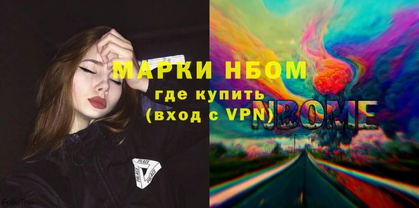 гашик Алексин