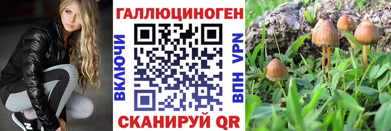 Галлюциногенные грибы мицелий  kraken вход  Бакал 