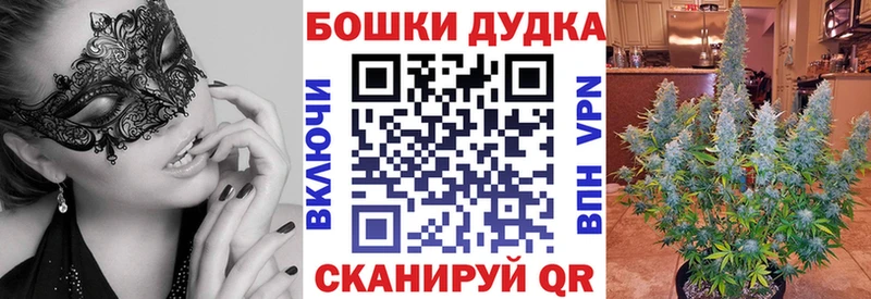 Бошки марихуана конопля Бакал